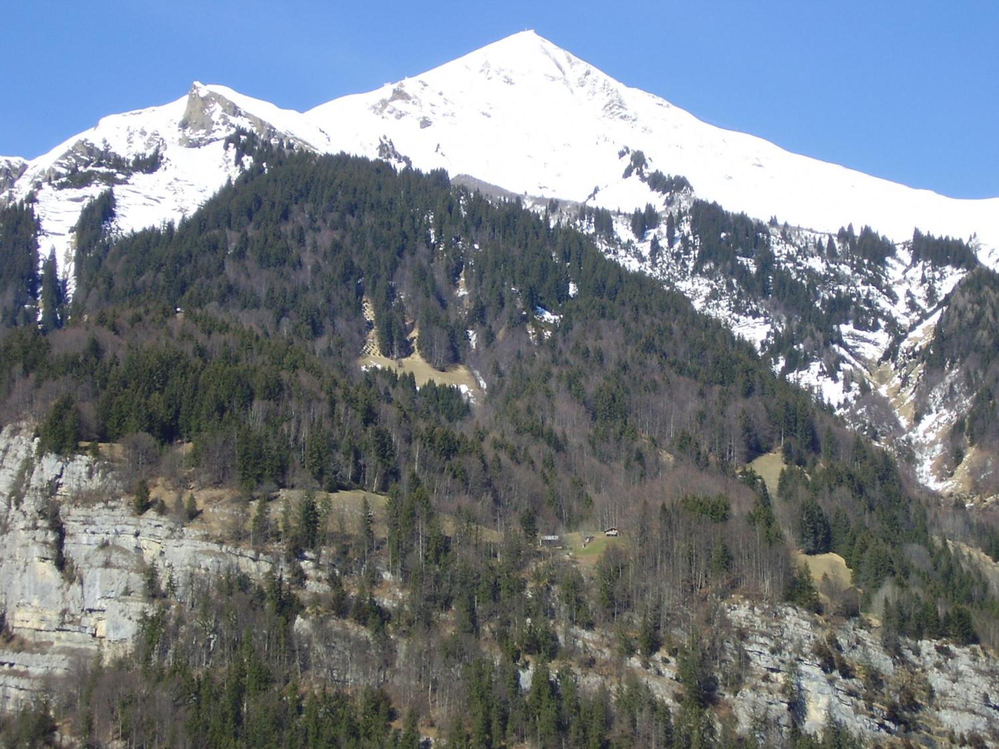Seeli Hofstetten bei Brienz Kültér fotó